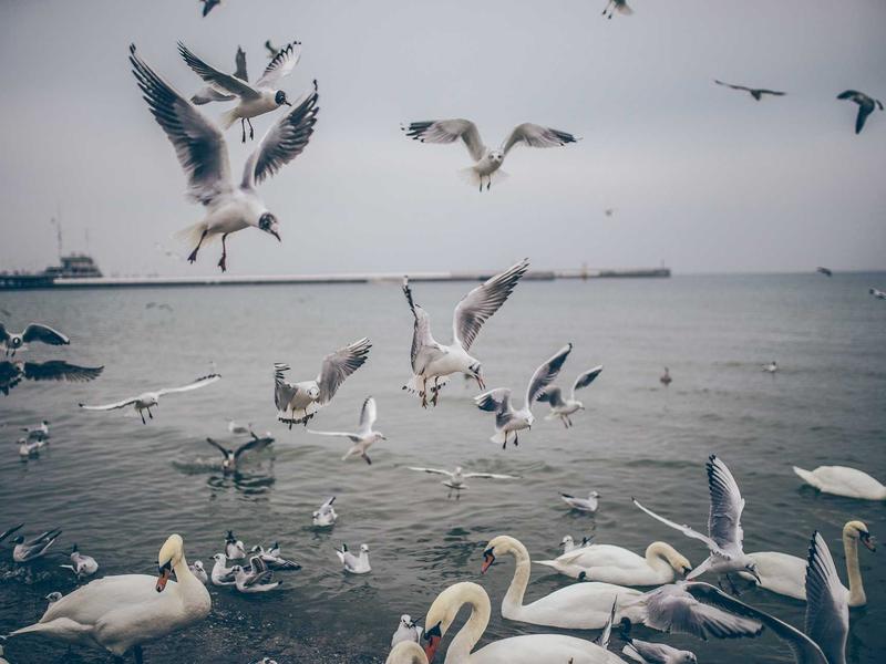 sudoku full version screenshot 3